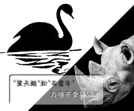 "黑天鵝"和"灰犀牛"為啥不受待見？