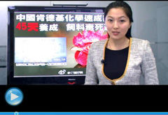 權(quán)威聲音：“快時代”究竟還有什么可以速成？