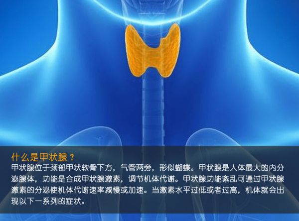 關(guān)注甲狀腺健康，你應(yīng)該知道的那些事