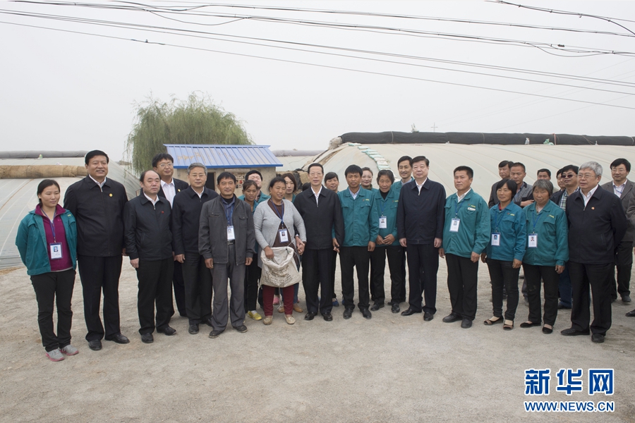 10月22日至23日，中共中央政治局常委、國務院副總理張高麗在山東調(diào)研扶貧工作情況。這是10月23日，張高麗在菏澤市定陶縣杜堂鎮(zhèn)轆灣村中遠蔬菜專業(yè)合作社調(diào)研時與當?shù)夭宿r(nóng)合影。 新華社記者 王曄 攝