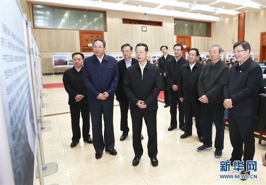 1月9日至10日，國務院副總理張高麗在安徽調研推動長江經(jīng)濟帶發(fā)展工作。這是1月10日，張高麗主持召開推動長江經(jīng)濟帶發(fā)展工作會議前聽取介紹。新華社記者 龐興雷 攝