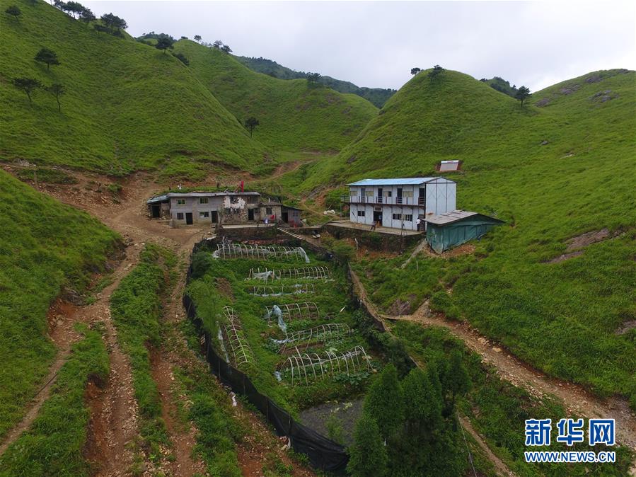 （新華全媒頭條·圖文互動）（3）一個人，一座山——劉真茂的生命守望