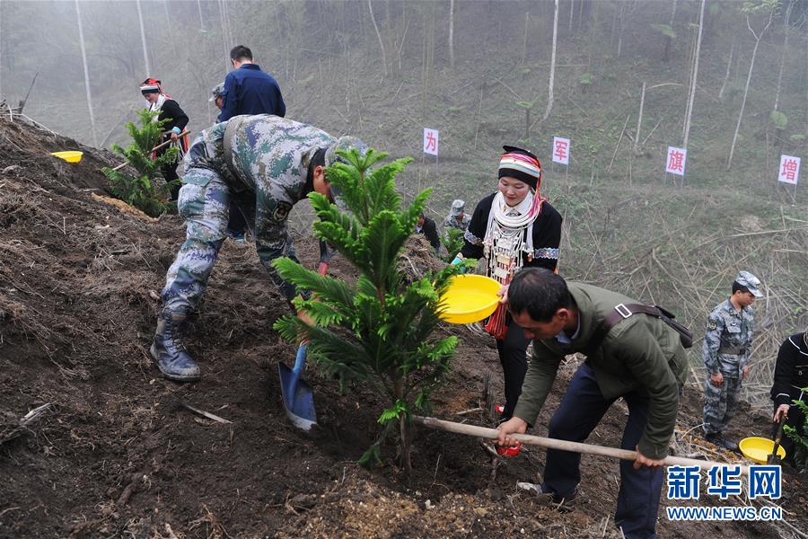 （圖文互動(dòng)）（6）和平年代，離死神最近的人——南部戰(zhàn)區(qū)陸軍云南掃雷大隊(duì)邊境掃雷排爆記事