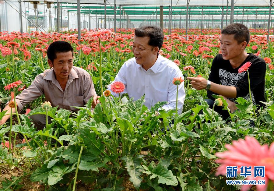 （新華全媒頭條·愛國情 奮斗者·圖文互動(dòng)）（8）致敬，為祖國獻(xiàn)身的英雄！