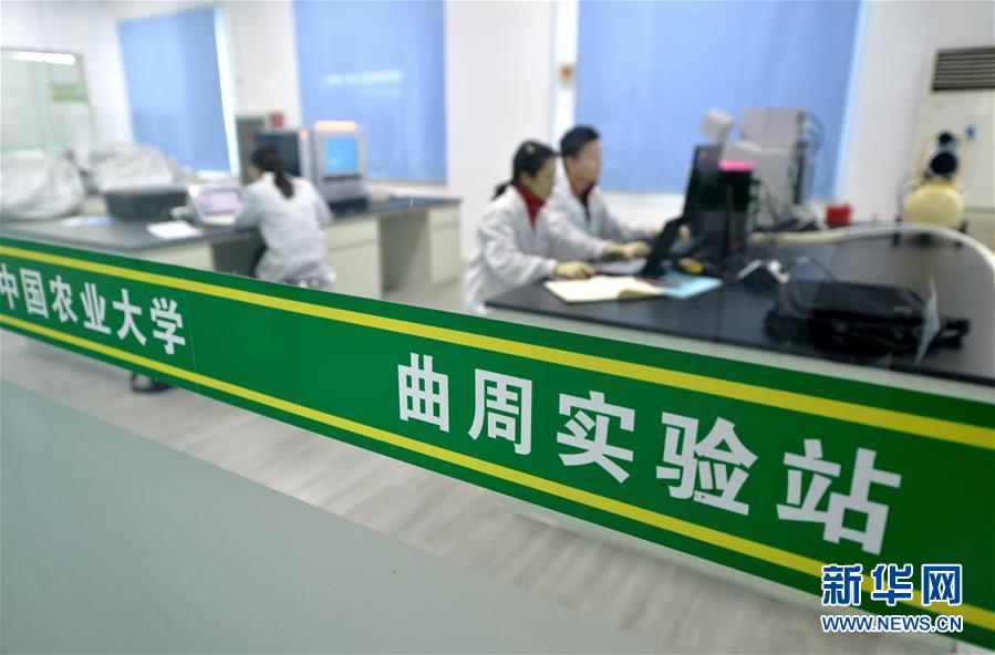 （愛國情 奮斗者·圖文互動(dòng)）（3） “解民生之多艱，育天下之英才”——中國農(nóng)大師生扎根田野書寫奉獻(xiàn)之歌