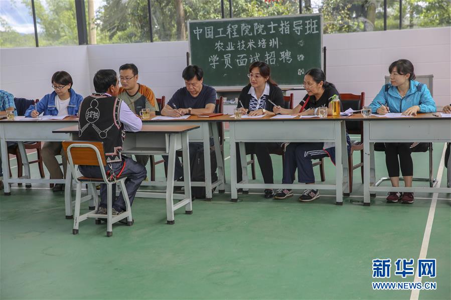 （新華全媒頭條·時(shí)代先鋒·圖文互動）（4）“要把論文寫在大地上”——記“農(nóng)民院士”朱有勇