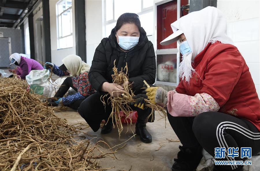 （新華全媒頭條·圖文互動）（2）特殊時期，他們這樣履職——全國人大代表這個春天在行動