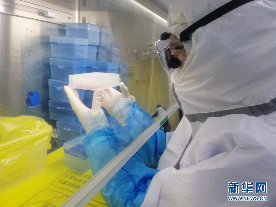 （一線抗疫群英譜·圖文互動）（2）“95后”大學生郝鶯歌：退掉車票，她選擇直面病毒