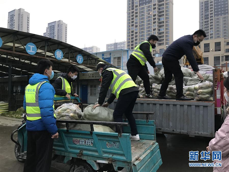 （一線抗疫群英譜·圖文互動）（2）“面對疫情，我們能做點啥？”——“蘿卜哥”朱海洋的擔(dān)當(dāng)