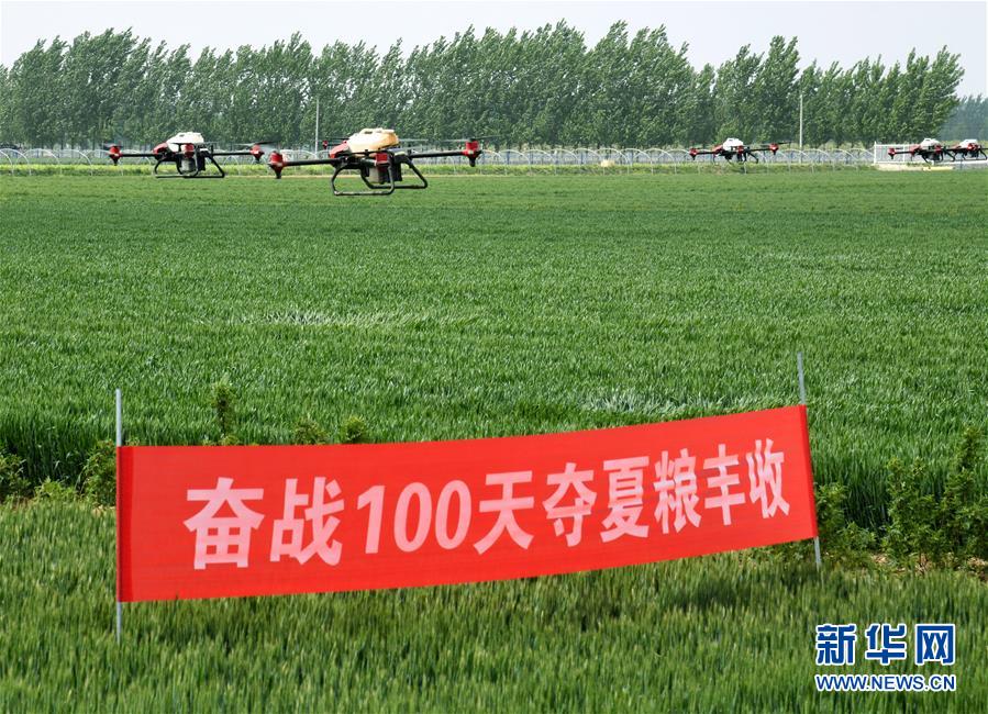 （在習近平新時代中國特色社會主義思想指引下——新時代新作為新篇章·習近平總書記關切事·圖文互動）（9）新農(nóng)事、新希望——夏收前田間新動態(tài)掃描