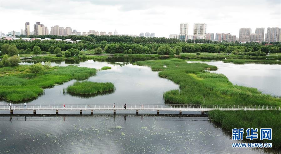 （走向我們的小康生活·圖文互動）（1）水清、地綠、空氣新——最北省份黑龍江繪就生態(tài)治理新畫卷