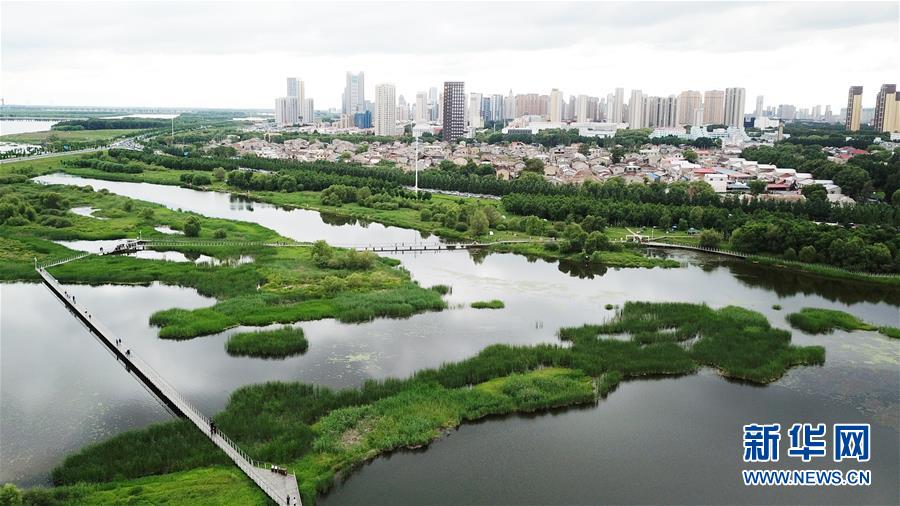 （走向我們的小康生活·圖文互動）（2）水清、地綠、空氣新——最北省份黑龍江繪就生態(tài)治理新畫卷