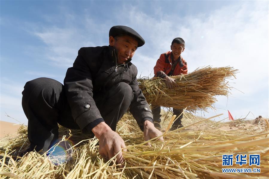 （在習(xí)近平新時代中國特色社會主義思想指引下——新時代新作為新篇章·習(xí)近平總書記關(guān)切事·圖文互動）（5）綠色映底蘊，山水見初心——生態(tài)優(yōu)先、綠色發(fā)展持續(xù)造福群眾美好生活