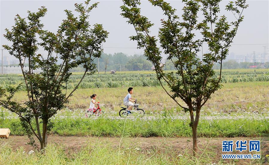（新華全媒頭條·走向我們的小康生活·圖文互動）（14）城市，讓人民生活更美好