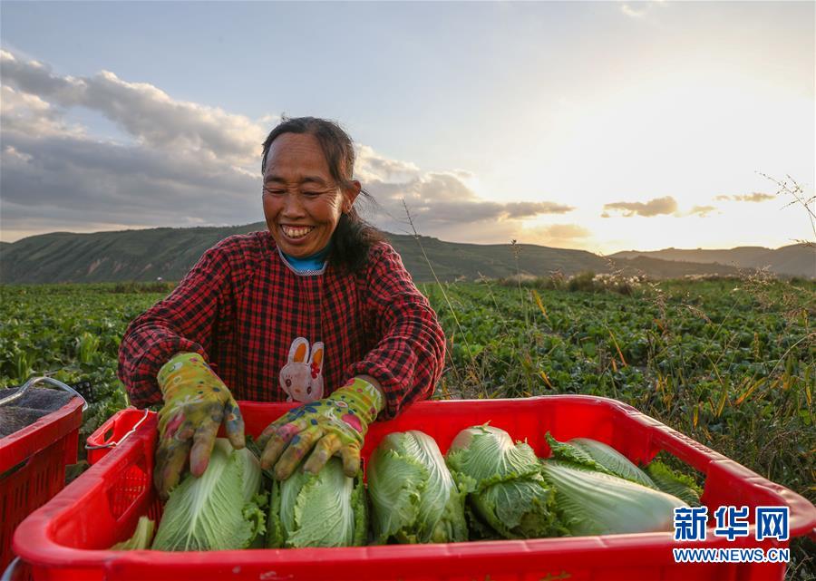 （新華全媒頭條·決戰(zhàn)決勝脫貧攻堅·督戰(zhàn)未摘帽貧困縣·圖文互動）（1）不獲全勝，決不收兵——全國52個掛牌督戰(zhàn)貧困縣脫貧攻堅紀(jì)實