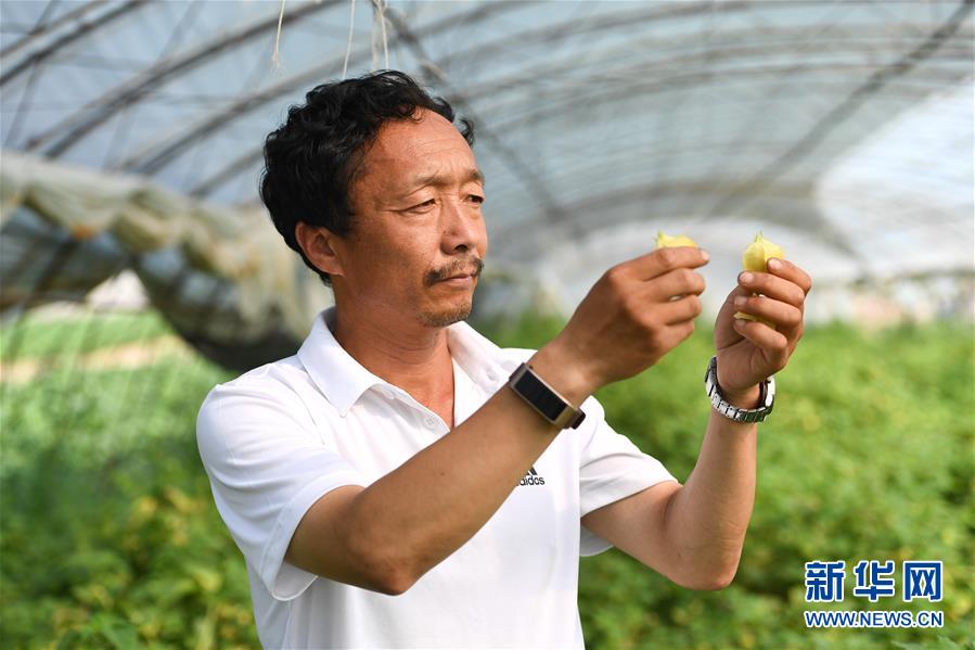 （新華全媒頭條·走向我們的小康生活·圖文互動）（7）黑土地上是我家——在吉林，一瞥中國東北鄉(xiāng)村美麗未來