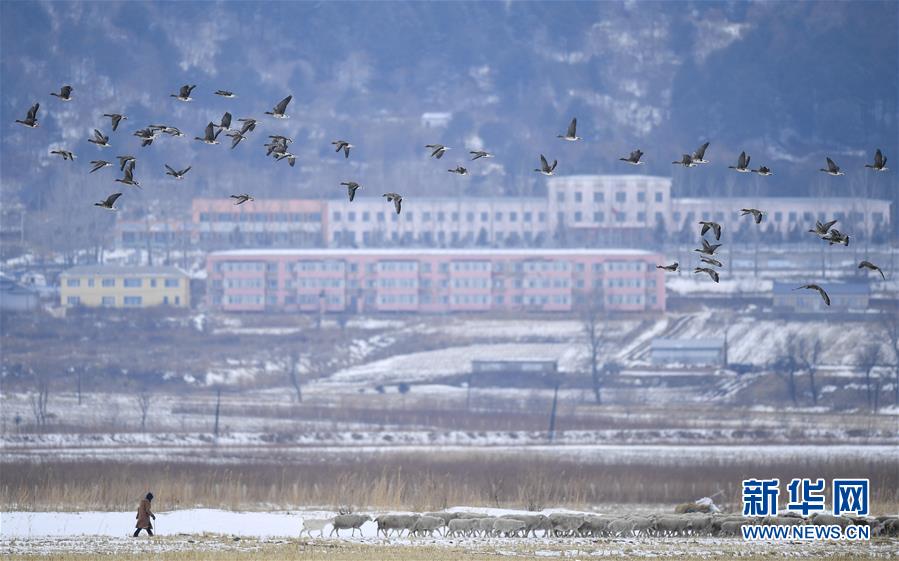 （新華全媒頭條·走向我們的小康生活·圖文互動）（14）黑土地上是我家——在吉林，一瞥中國東北鄉(xiāng)村美麗未來