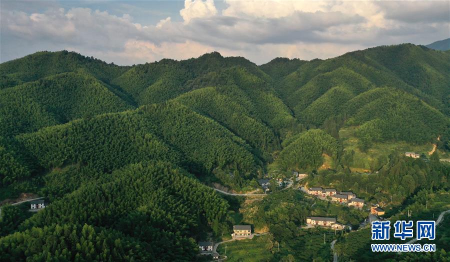 （新華全媒頭條·走向我們的小康生活·圖文互動）（2）神山村“神奇”何在？——井岡山深處覓答案