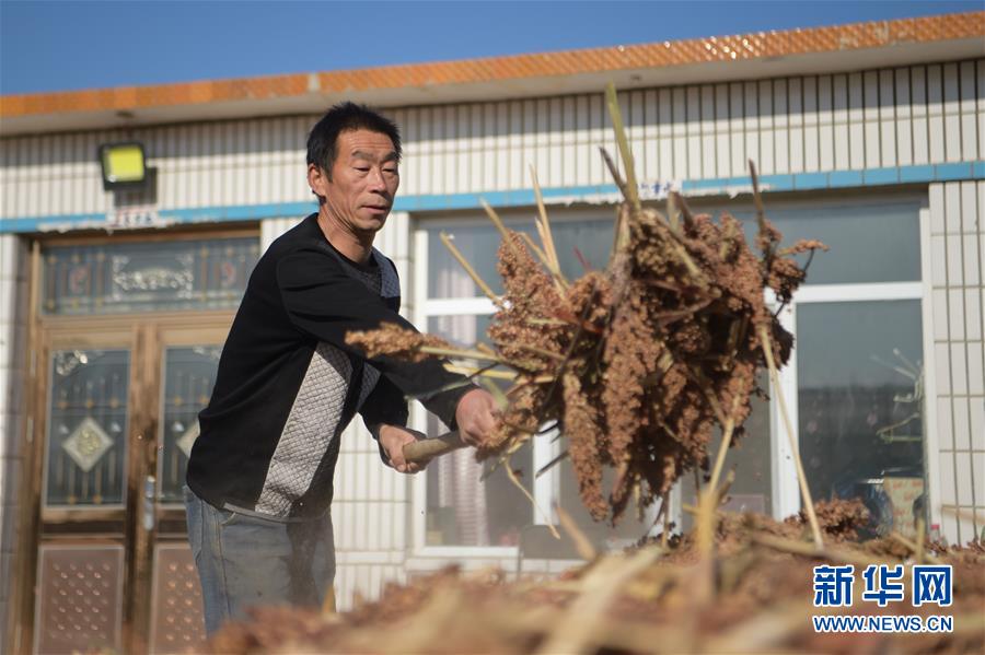 （全面建成小康社會“百城千縣萬村”調研行·圖文互動）（1）互助互利，小甘薯帶來甜蜜日子——內蒙古奈曼旗互利村闖出產業(yè)致富之路