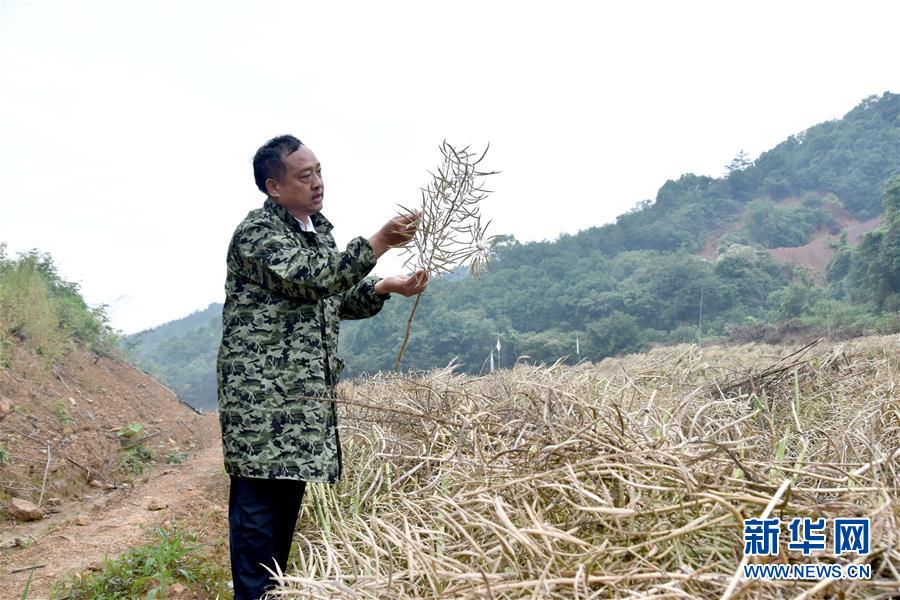 （代表委員履職·圖文互動）（1）“我是農(nóng)民代表，始終關(guān)注農(nóng)村”——全國人大代表沈昌健的履職故事