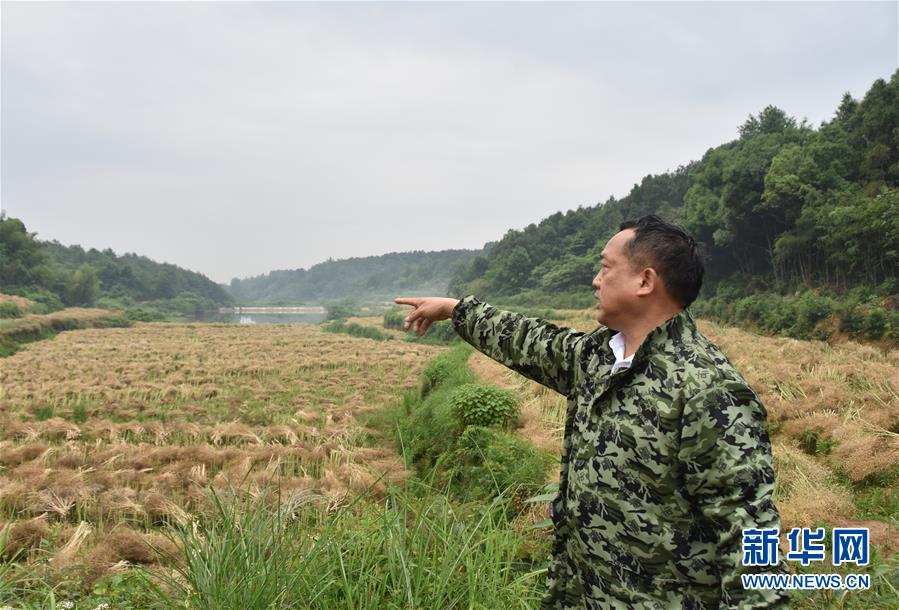 （代表委員履職·圖文互動）（2）“我是農(nóng)民代表，始終關(guān)注農(nóng)村”——全國人大代表沈昌健的履職故事