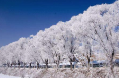 全國初雪時間表出爐 看看你離初雪還有多遠(yuǎn)？