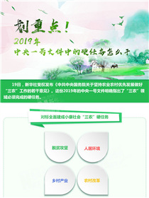 劃重點！2019年中央一號文件中的硬任務(wù)怎么干