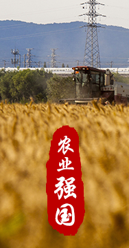 農(nóng)業(yè)強(qiáng)國是社會主義現(xiàn)代化強(qiáng)國的根基。