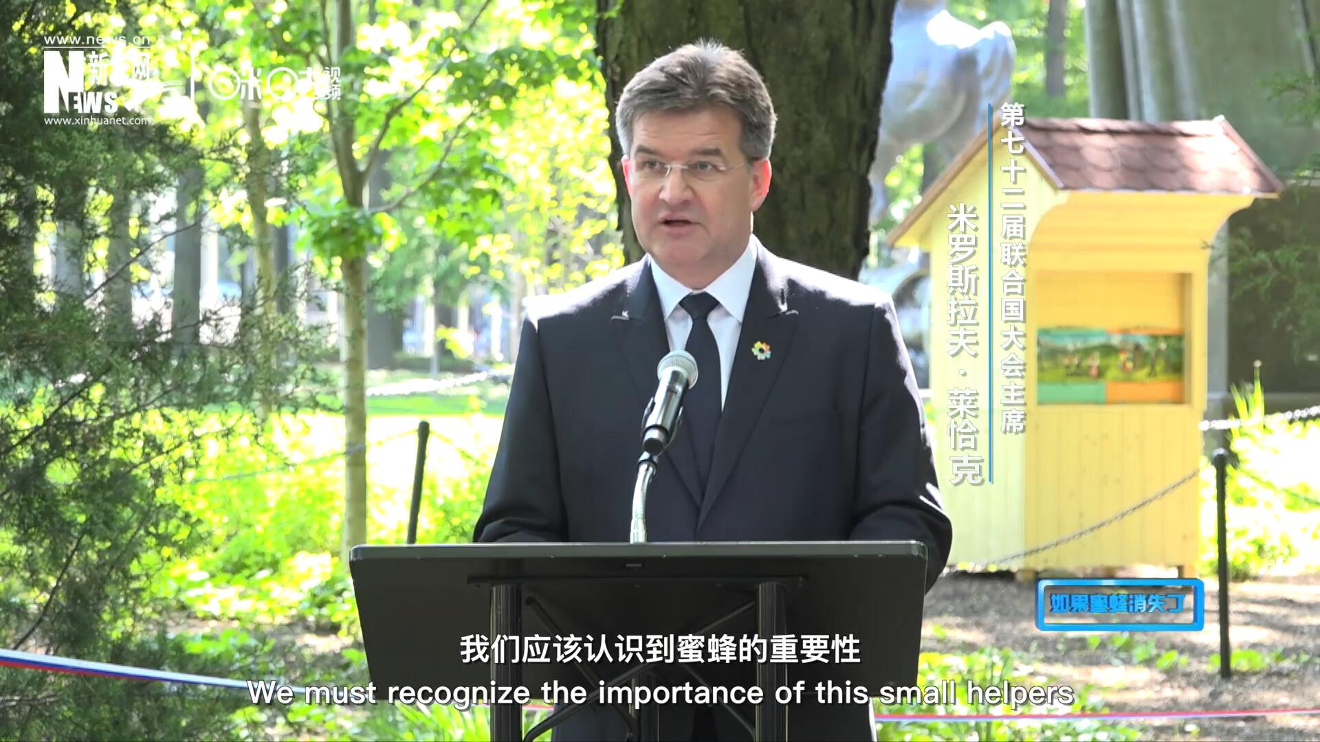 我們應(yīng)該認(rèn)識(shí)到蜜蜂的重要性，所以我們用“世界蜜蜂日”提高大家保護(hù)蜜蜂的意識(shí)，并且用實(shí)際行動(dòng)去保護(hù)蜜蜂
