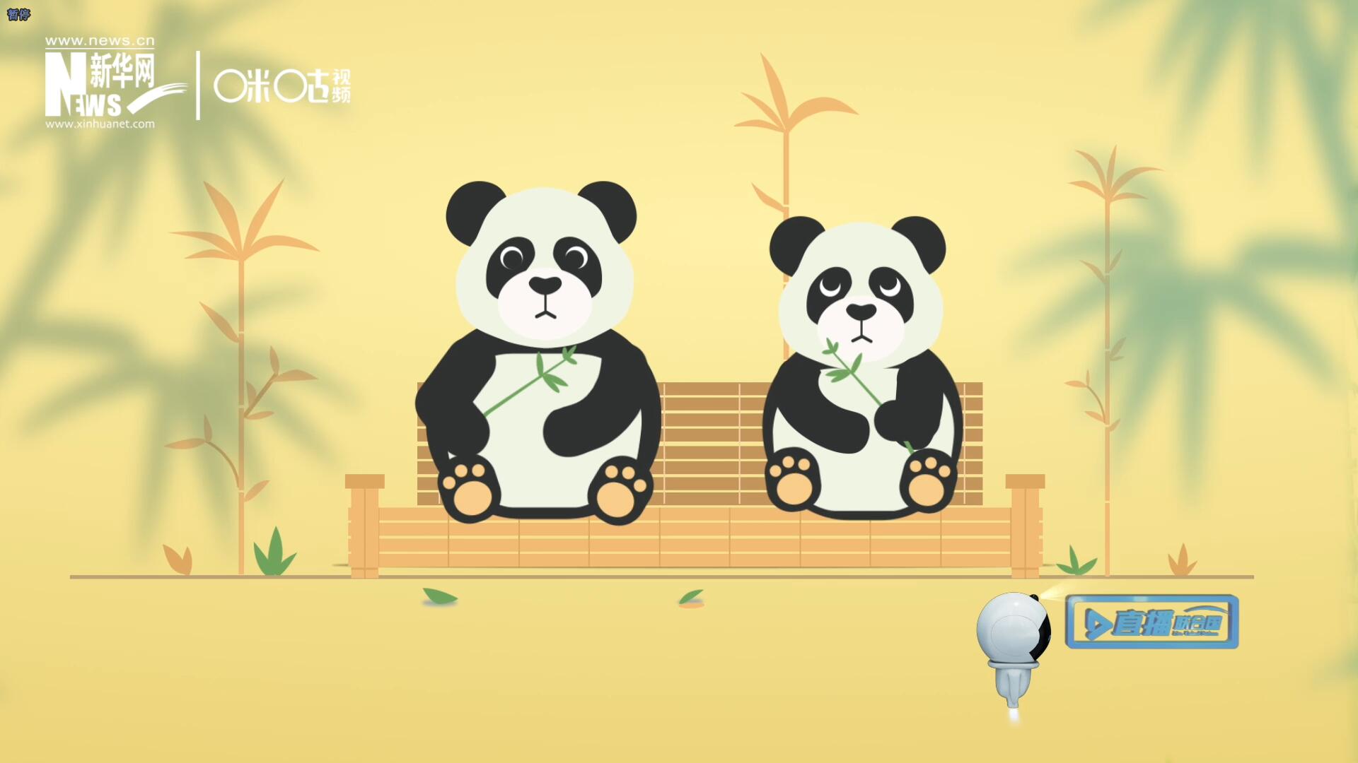 “哥哥你看，又有人來看我們了。”“有什么奇怪的，我們可是聯(lián)合國‘最萌’的大使啊！”。