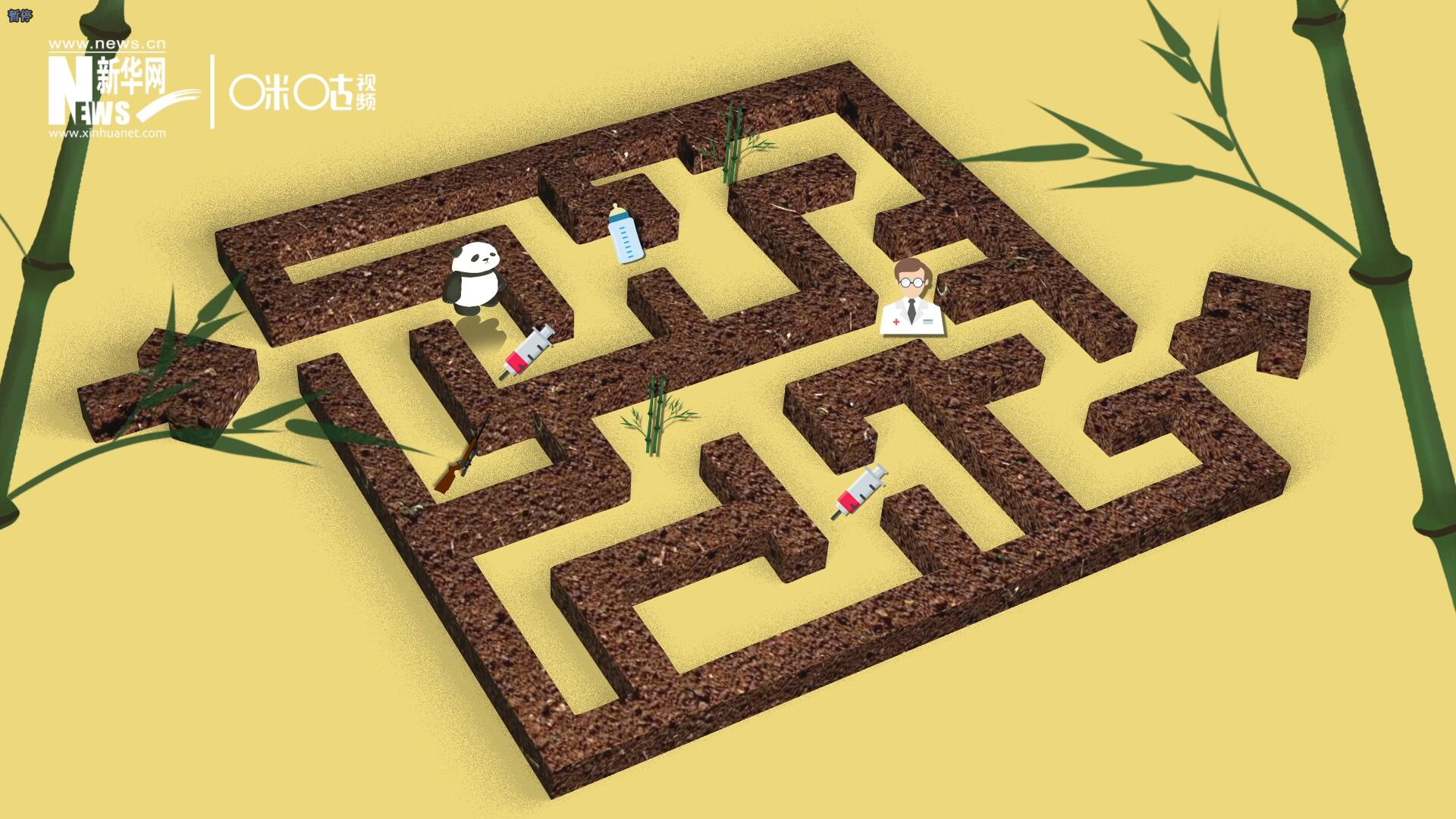 2016年，國際自然保護(hù)聯(lián)盟將大熊貓的物種瀕危等級，從“瀕危”下降到了“易危”。