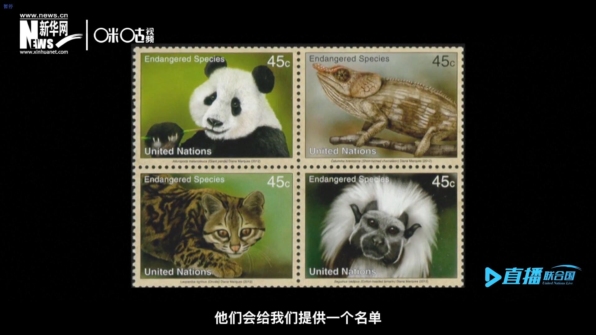 CITES（瀕危野生動植物種國際貿(mào)易公約）會給聯(lián)合國郵政設(shè)計(jì)師提供一個名單，雙方共同合作在附錄中找到名單中應(yīng)該受到關(guān)注的動物。
