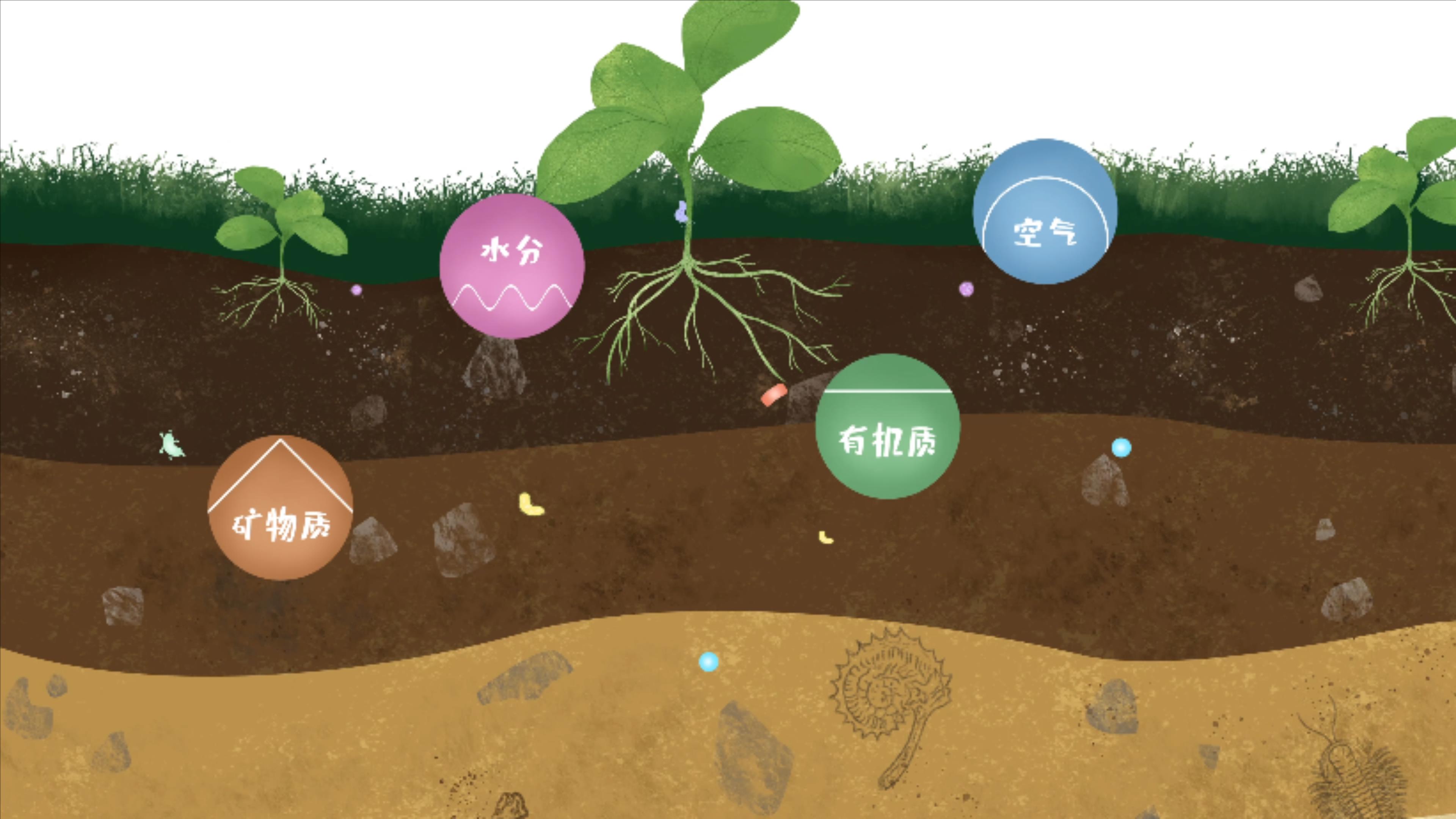 土壤由礦物質(zhì)、有機質(zhì)、水分、空氣及包括微生物在內(nèi)的生物體等組成