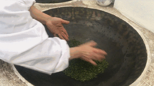 申遺，把雨花茶手藝傳承下去