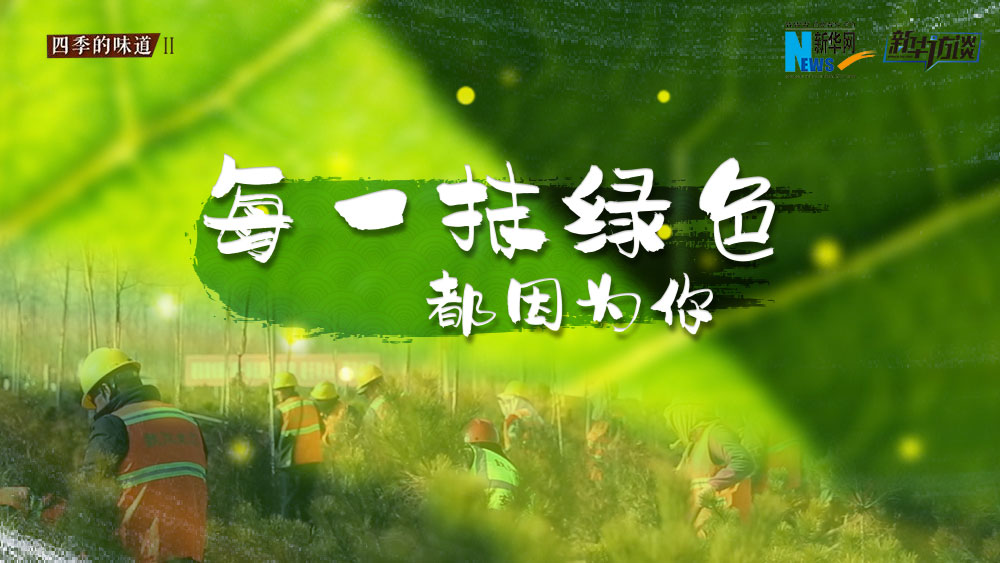 千年秀林，每一抹綠色都因?yàn)槟? /></p>
<p class=