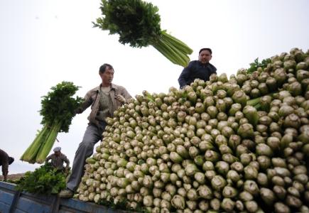 劉永富：發(fā)展產(chǎn)業(yè)脫貧仍是精準扶貧、精準脫貧主攻方向