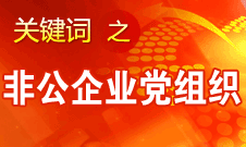 王京清：非公企業(yè)建立黨組織服務(wù)企業(yè)發(fā)展、服務(wù)員工