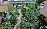 震撼！日本最豪華的廁所（組圖）