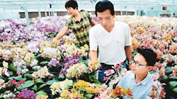 臺(tái)商眼中的改革開放：風(fēng)景這邊獨(dú)好 要去，要去，要去！