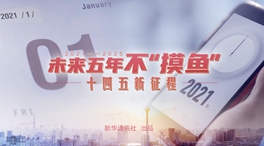 未來五年，不“摸魚”