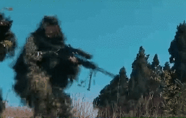 突入，擊斃！直擊武警特戰(zhàn)反劫持演練！