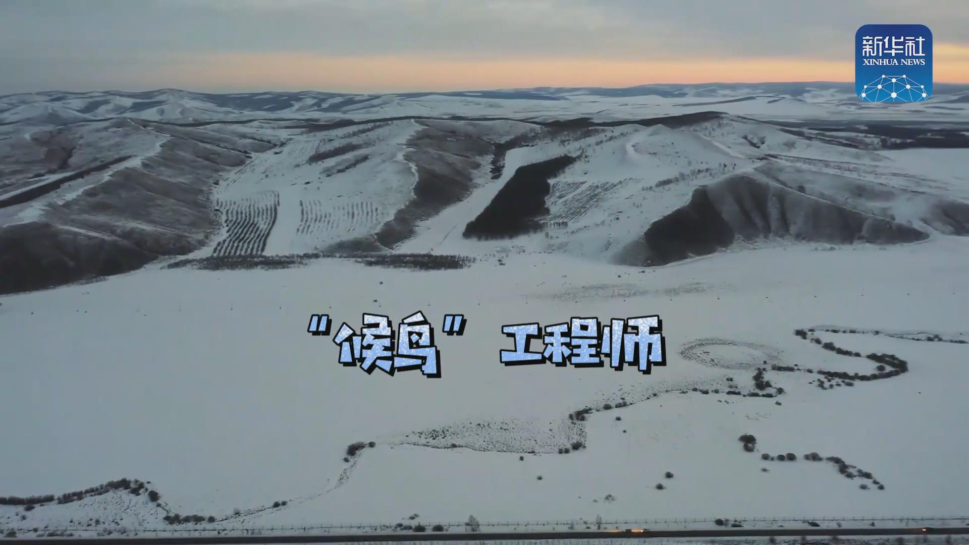 我們在奔跑丨一路向北！他是逆行的“候鳥”