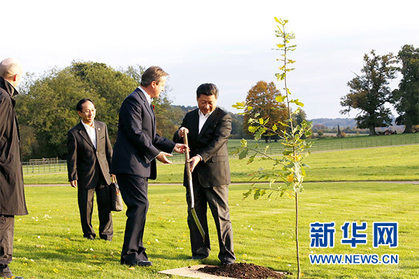兩國領(lǐng)導(dǎo)人一同在別墅草坪，共同種下象征中英友誼的橡樹。新華社記者 鞠鵬 攝